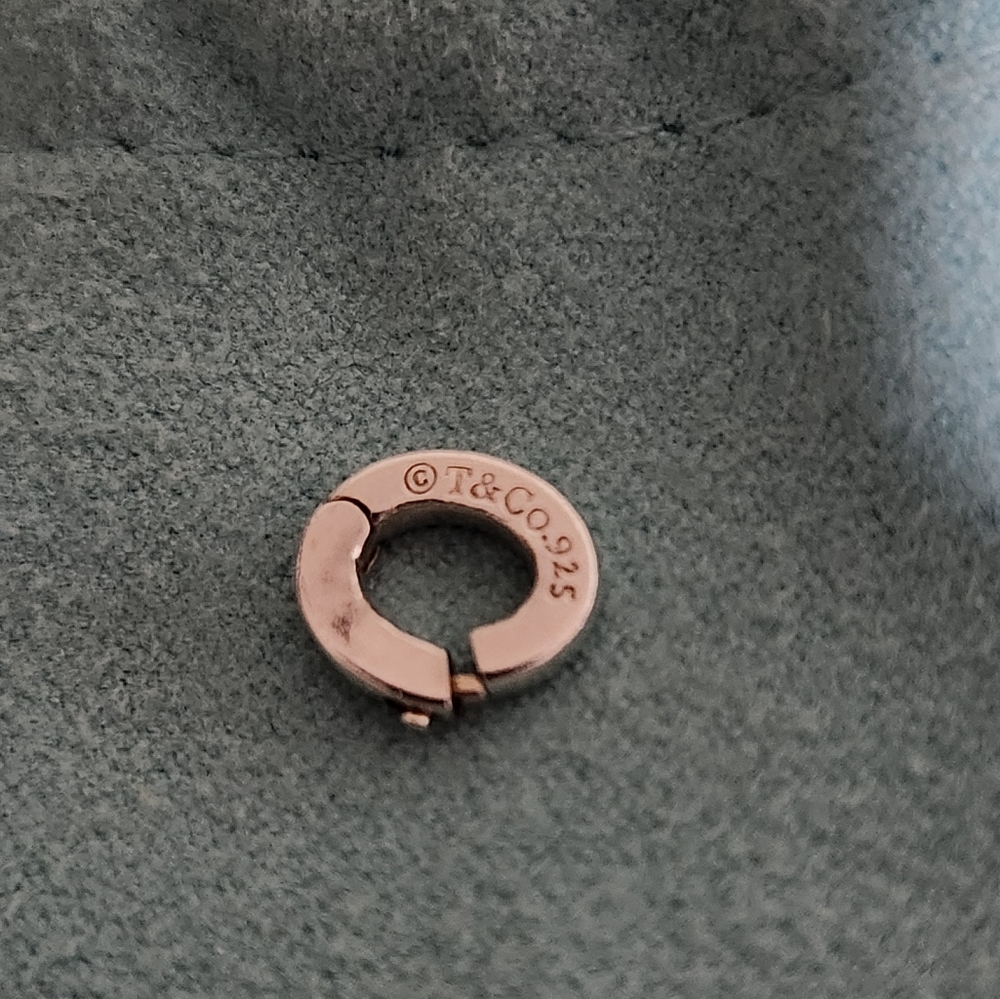 T&Co. 925 Silver Clasping Link